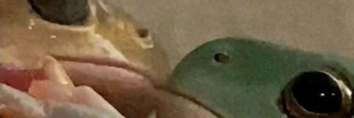 felp234's profile banner image