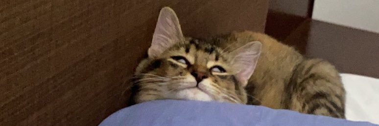 vlrmaee's profile banner image