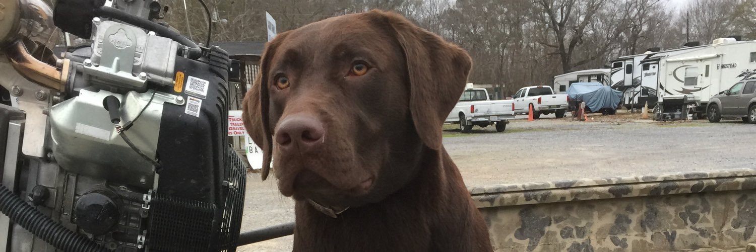 jacob_goodman's profile banner image