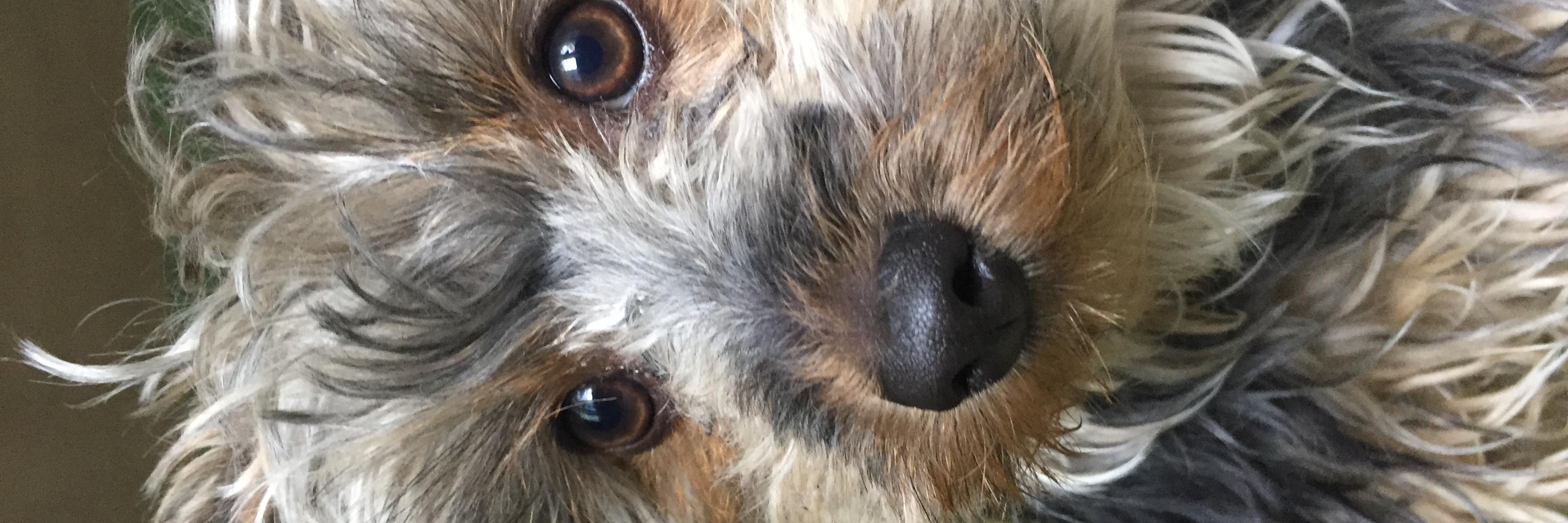 Le_Chercho's profile banner image