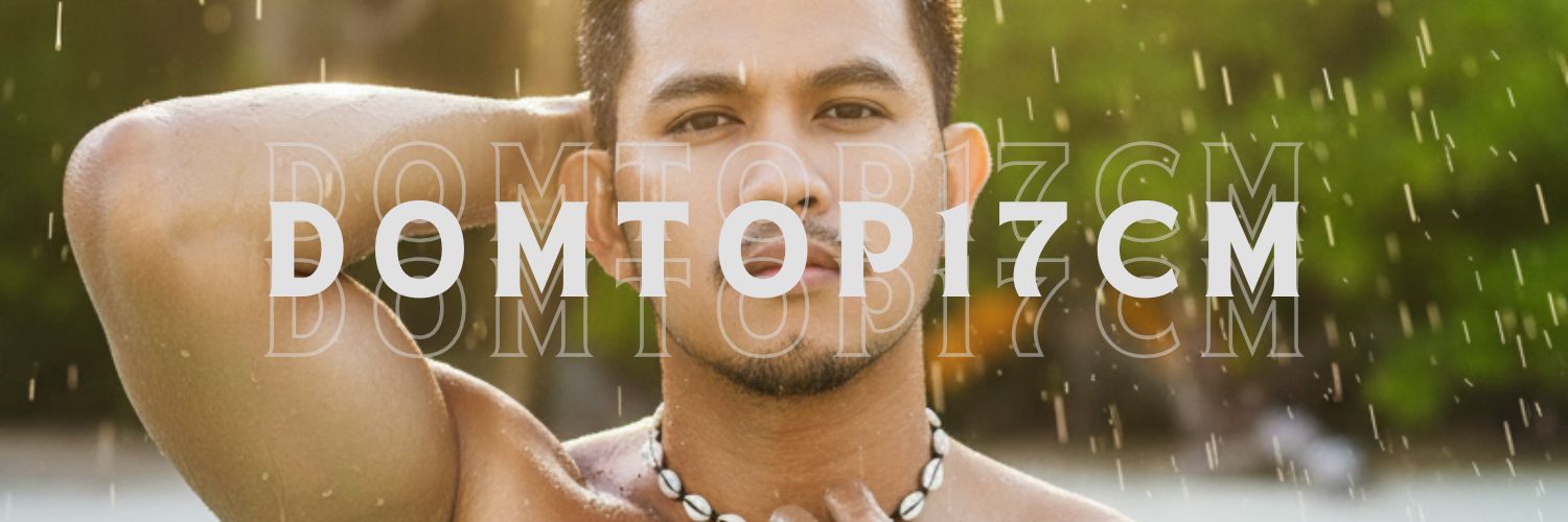 domtop17cm's profile banner image