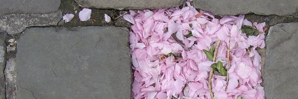 gianotdead's profile banner image