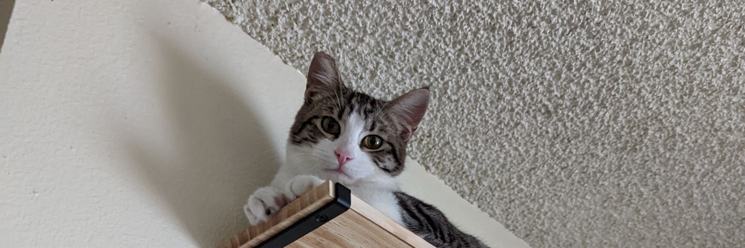 broskaphorous's profile banner image