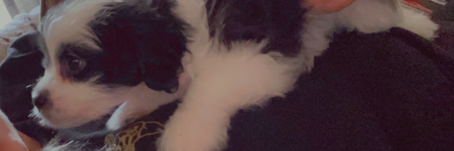 graujailene's profile banner image