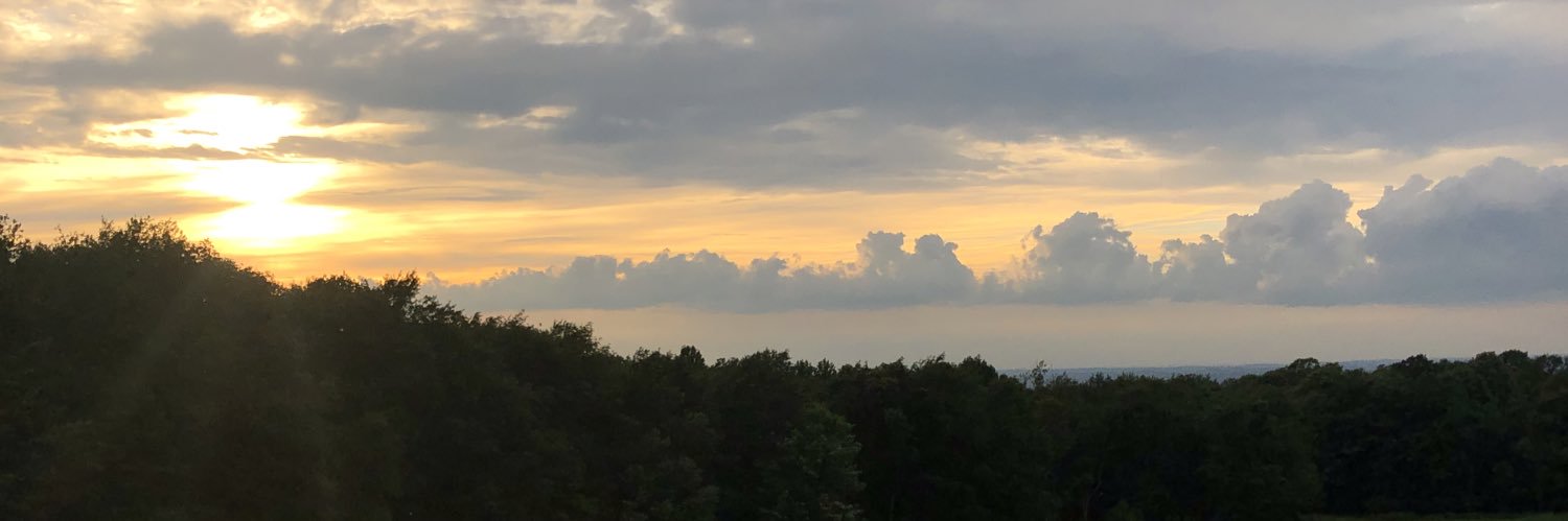 Trey Friedline banner