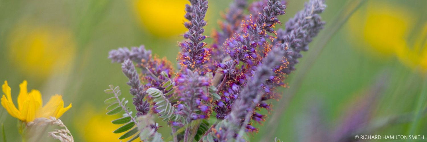 The Nature Conservancy in Minnesota banner