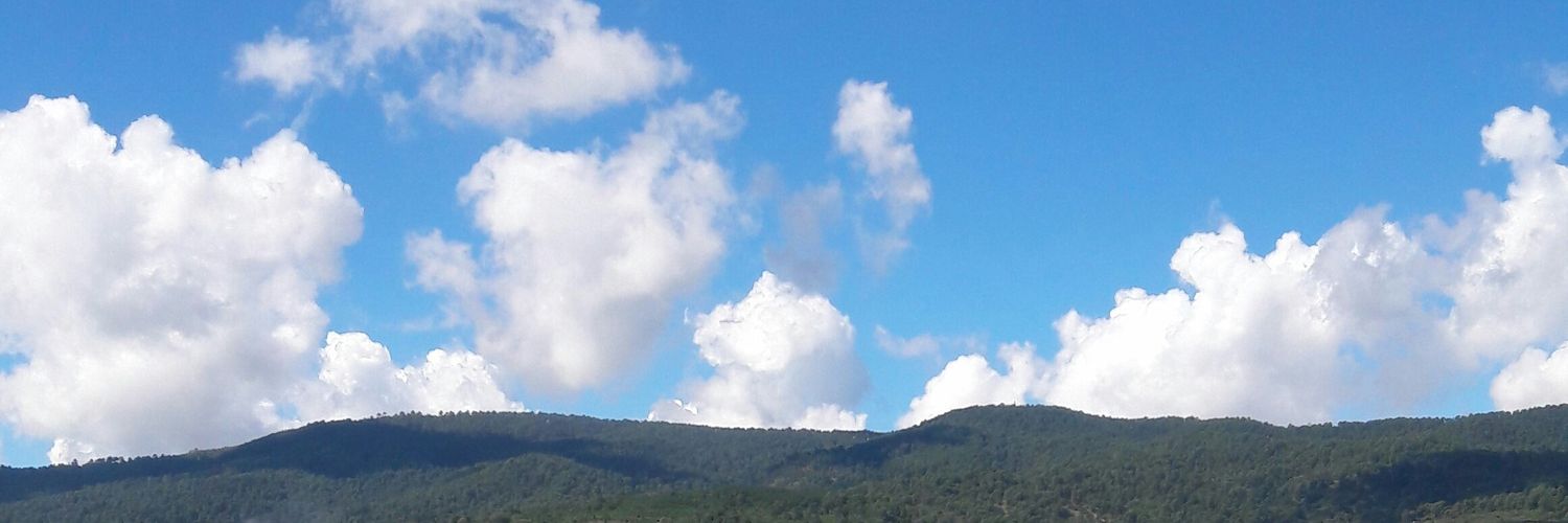 gradomas33's profile banner image