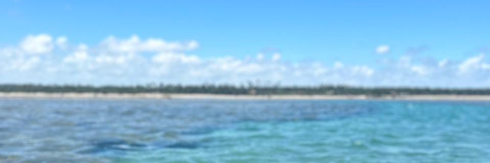 rainerimartins's profile banner image