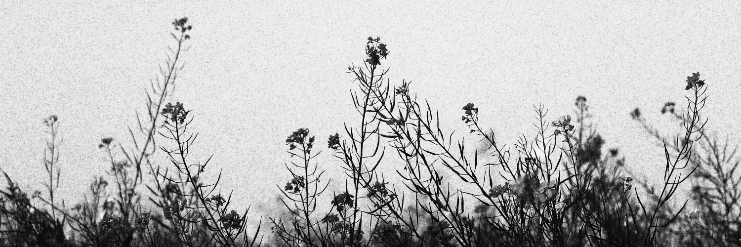 Chansoo_Galaxy's profile banner image