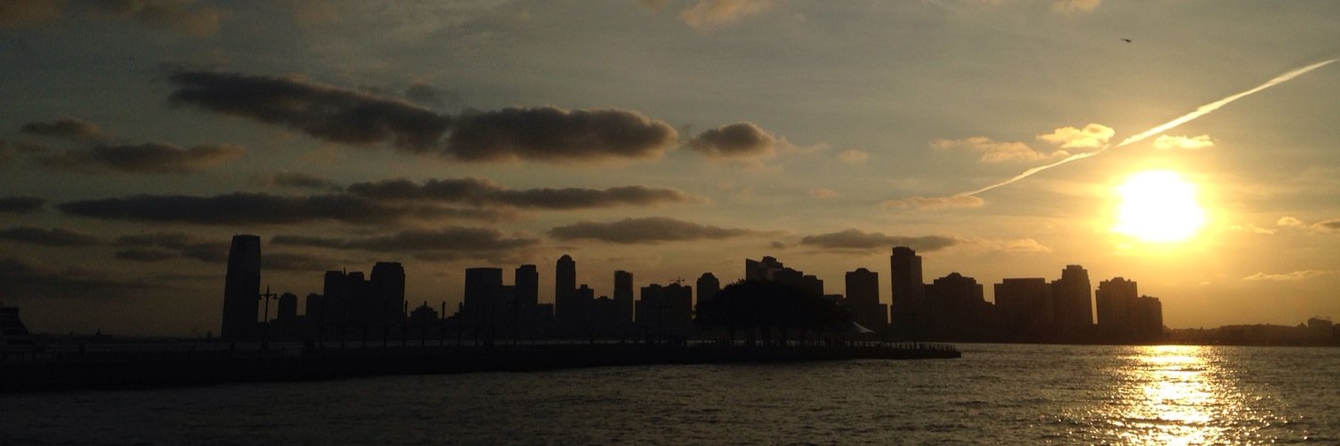 LadyDiFranco's profile banner image