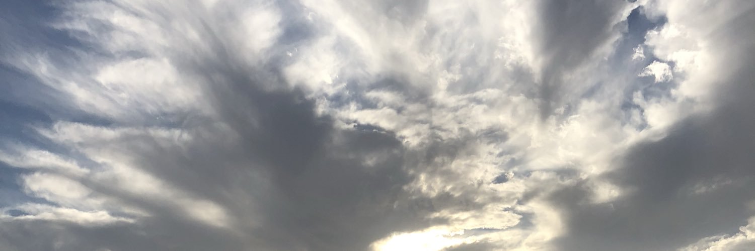 sarahalgash's profile banner image