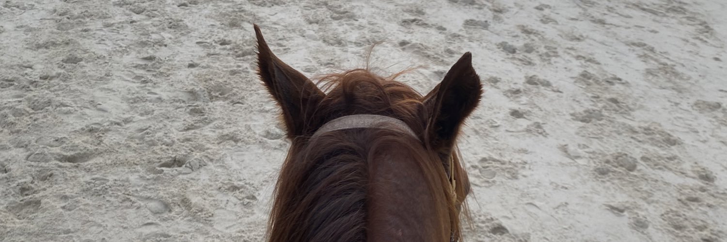 YNDarneesh's profile banner image