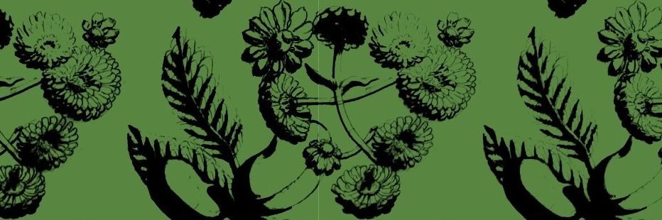 Spiralred's profile banner image