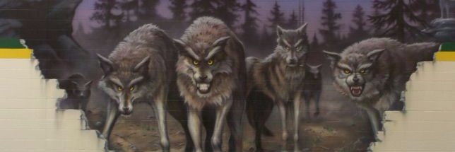 Charles Bloom Sec banner