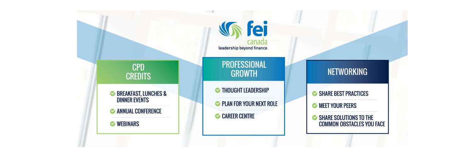 FEI Canada banner