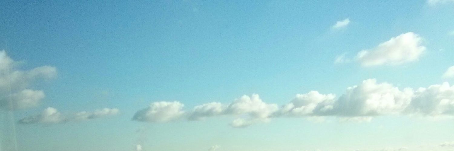 ppolo99's profile banner image