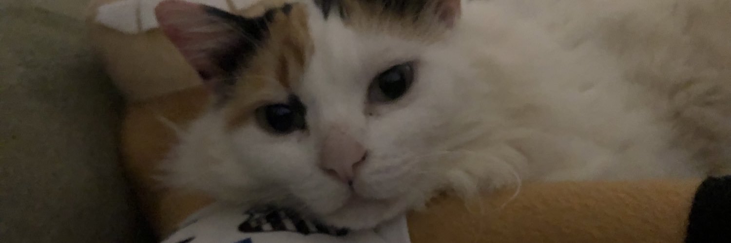 itsgrazibe's profile banner image
