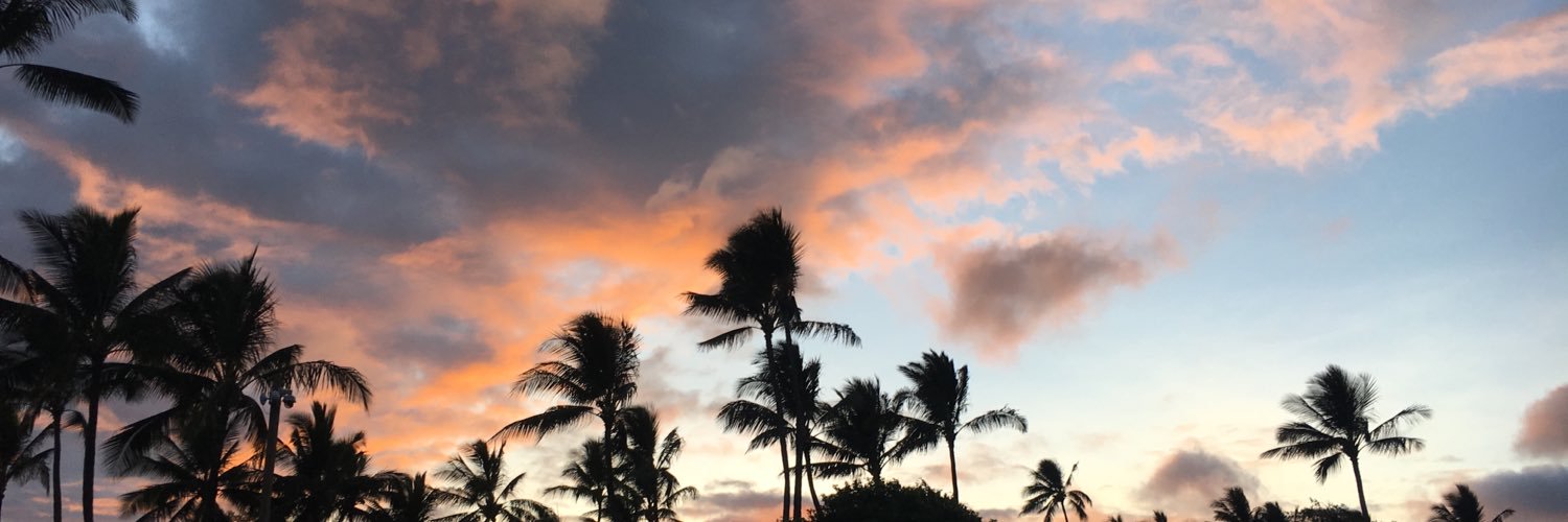 Seanmostrander's profile banner image