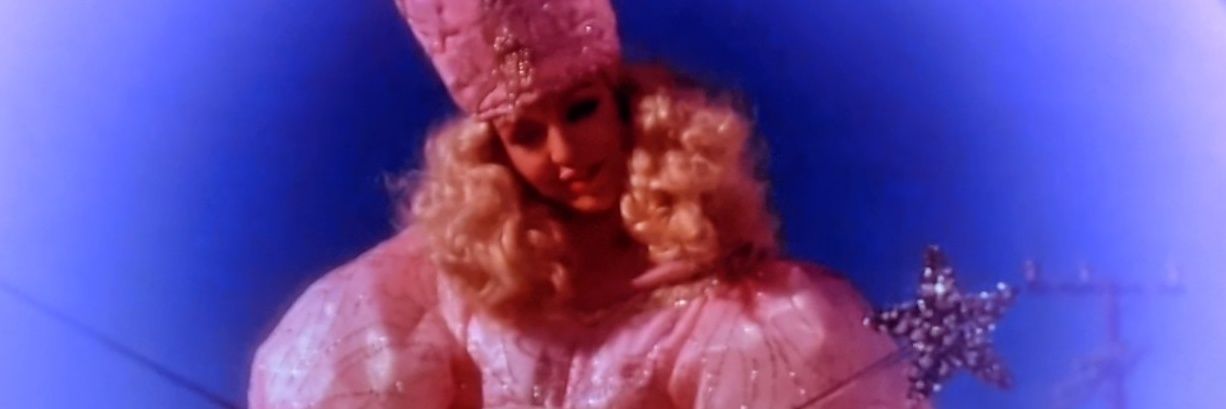 Miss Mineragua banner