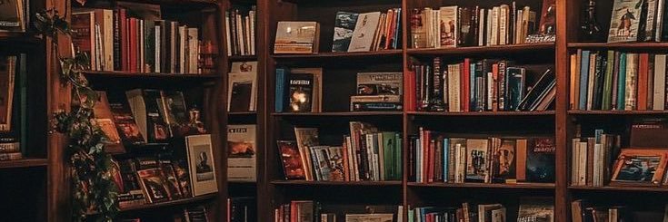 ˚⊹⋆𝗟𝗶𝗯𝗲𝗹𝗹𝗲 ☆彡 banner