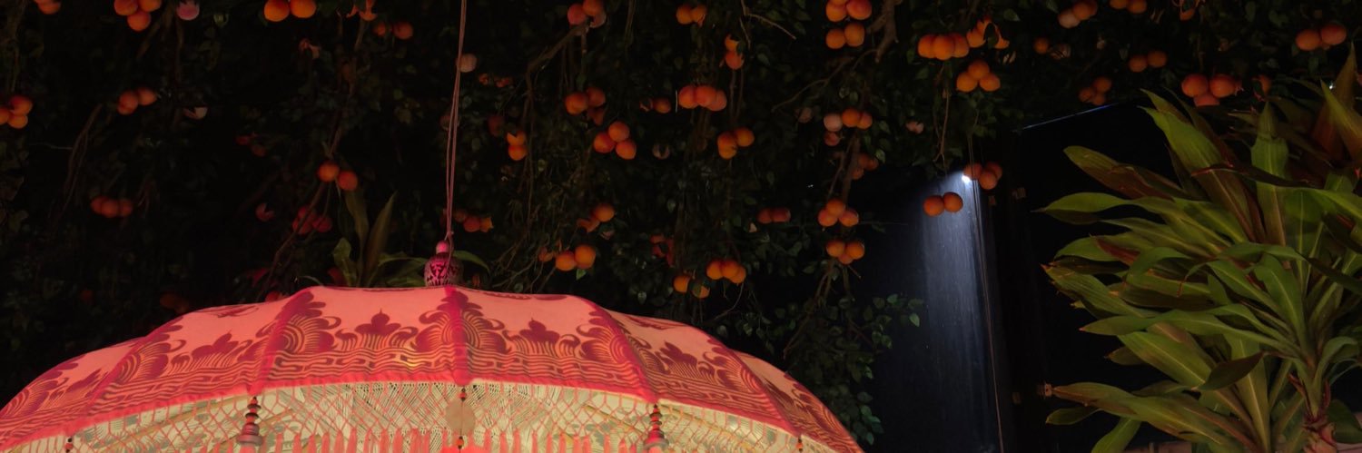 lizrubios's profile banner image