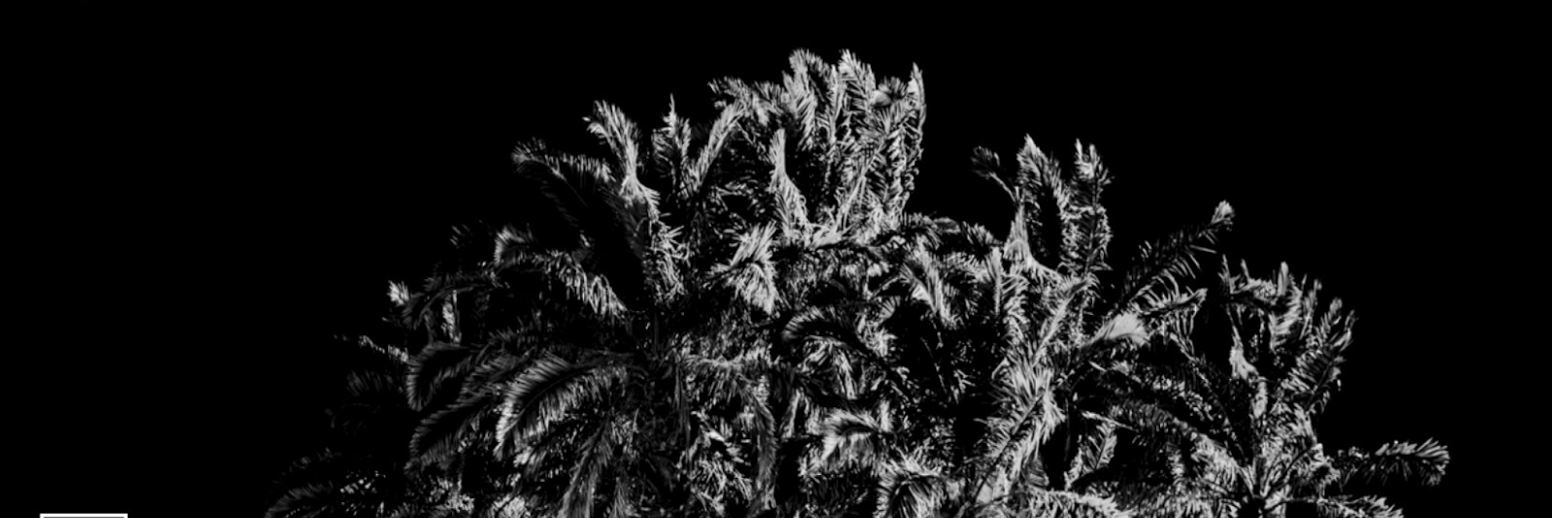 UTA Brand Studio banner