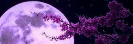 Kingsbury_MsK's profile banner image