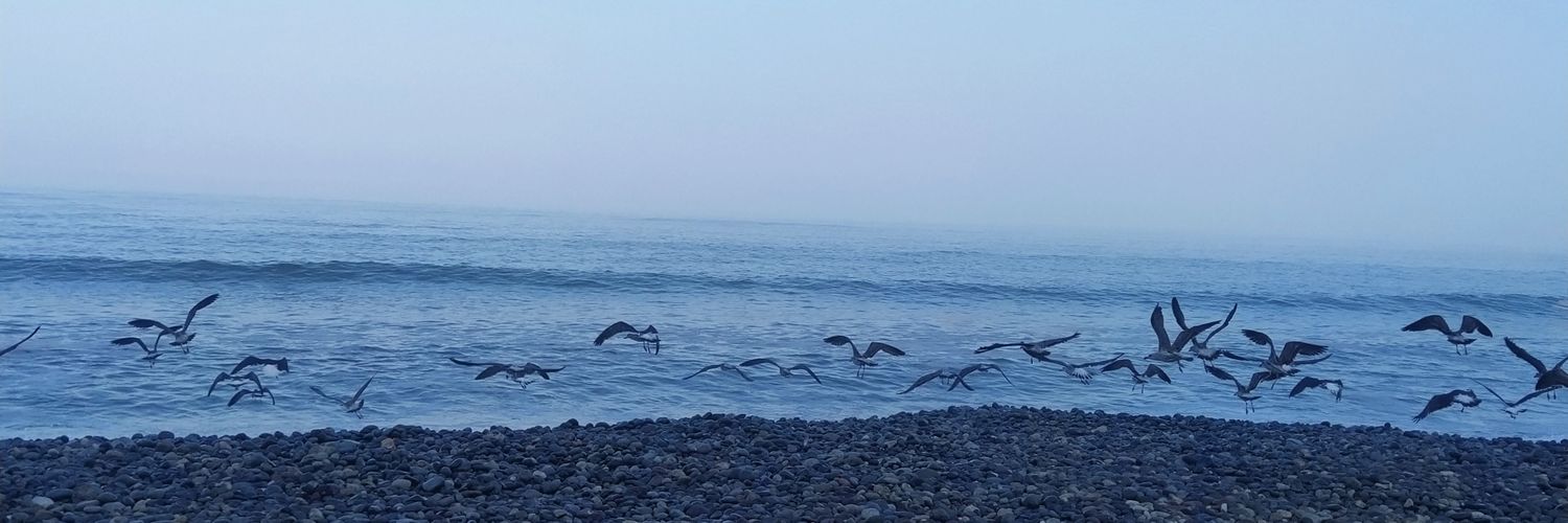 aniger31's profile banner image