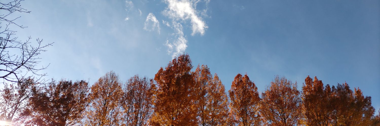 鬼灯（ほおずき） banner