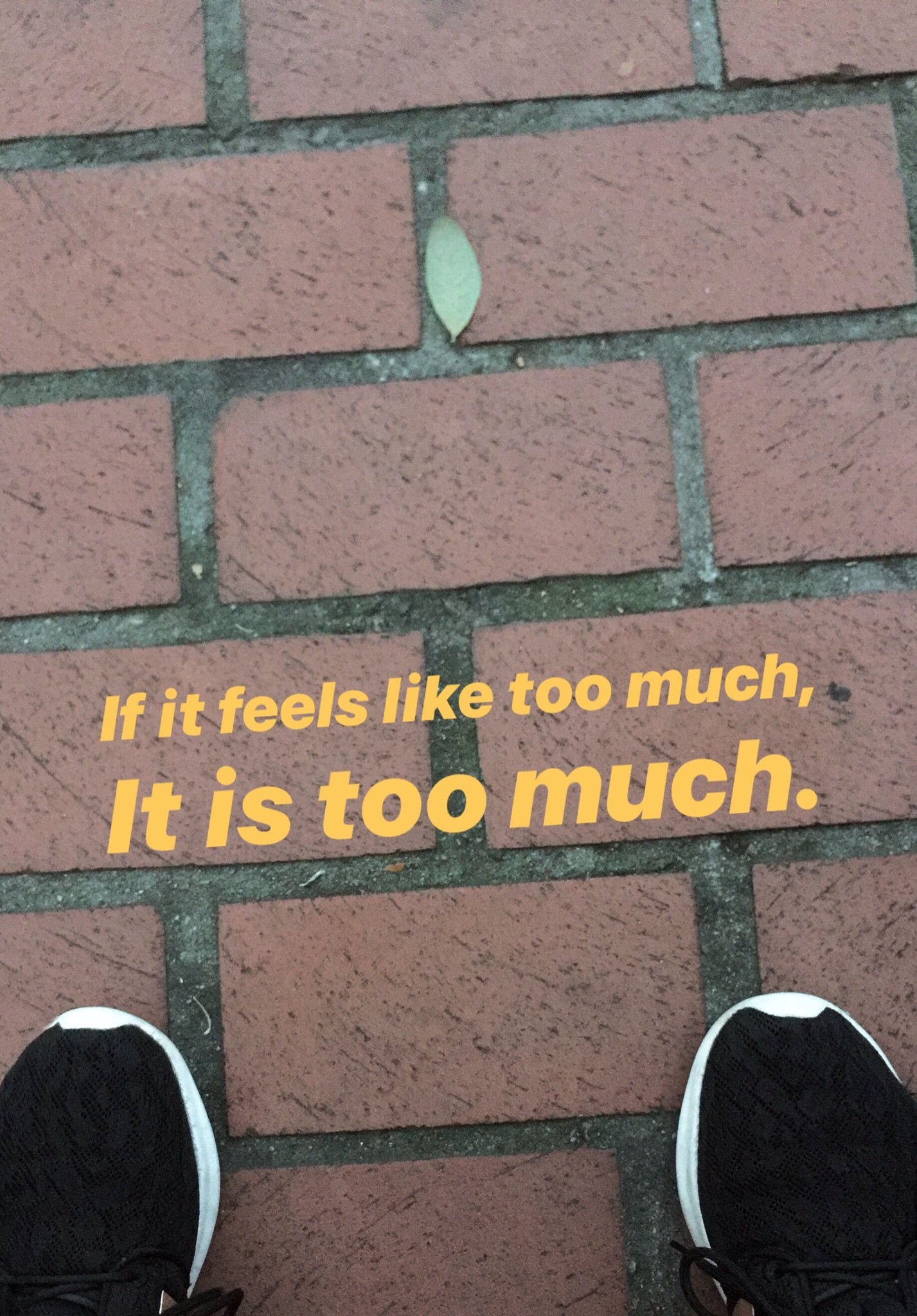 kaitlinmobley's profile banner image