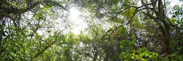 juancanavarro Profile Banner