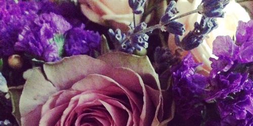 ShaylaRogersHT's profile banner image