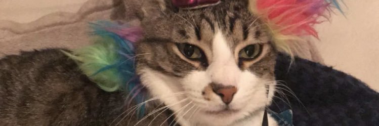 Berrenicee's profile banner image
