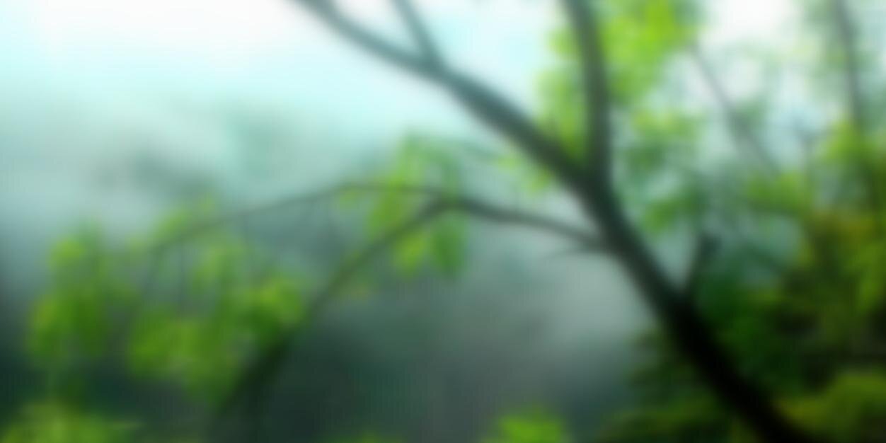 pmishraofficial's profile banner image