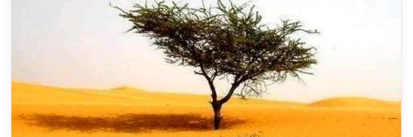 balanced_libran's profile banner image