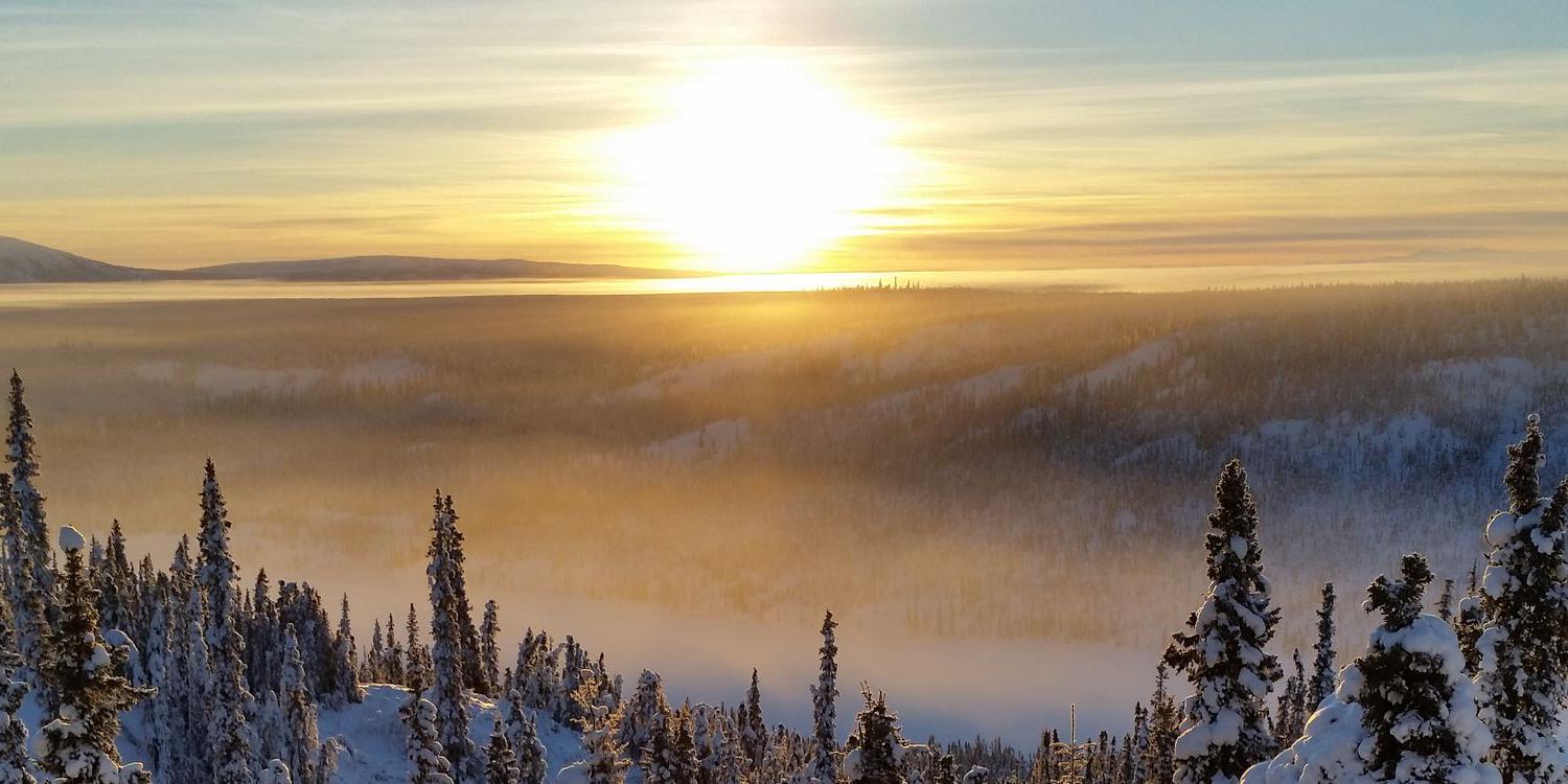ScouteWarren's profile banner image
