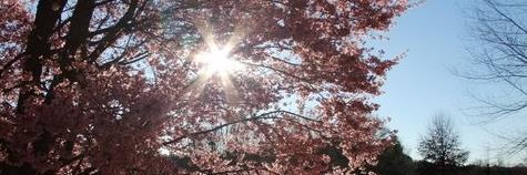 tinabliese's profile banner image