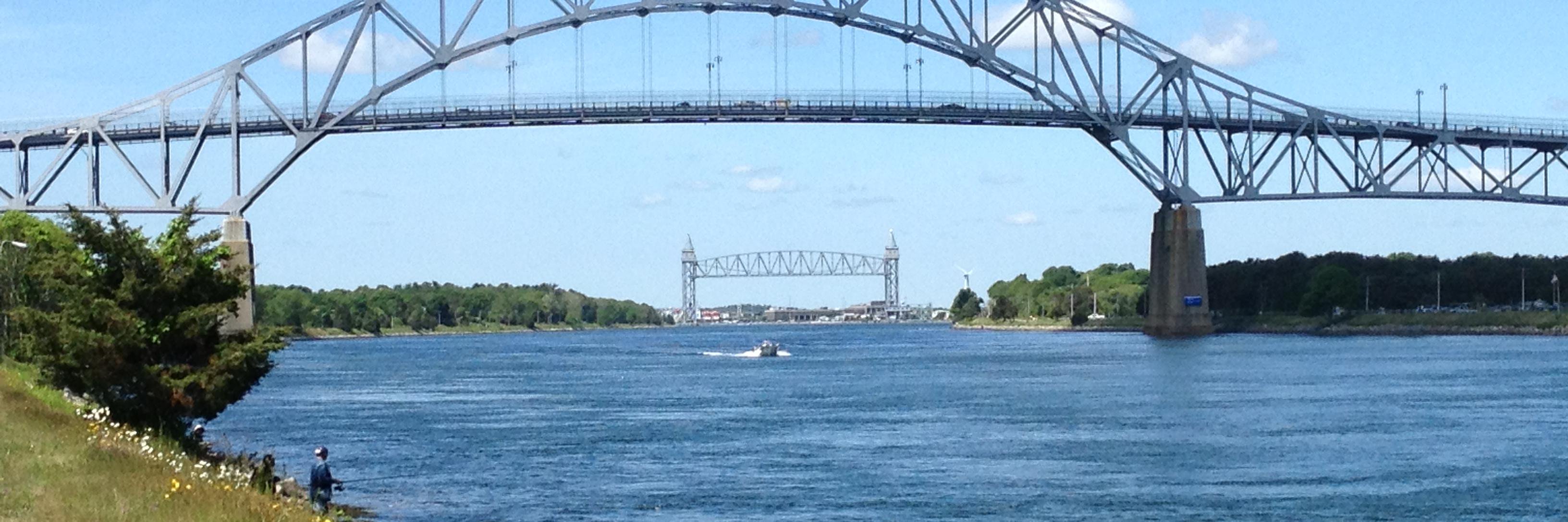 Allen Sylvester banner