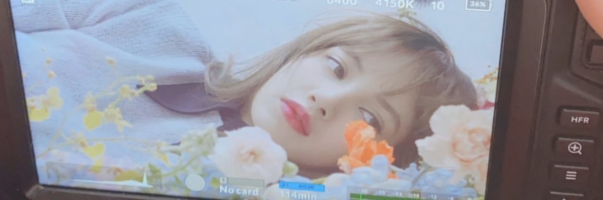 🍀🌻NK🍀🌻 banner