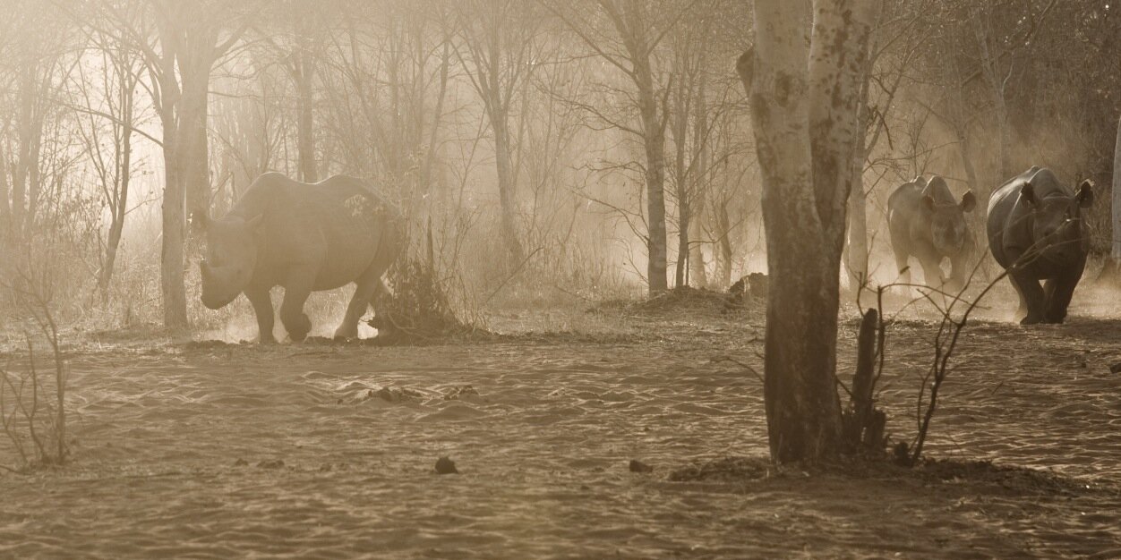 Damien Mander banner