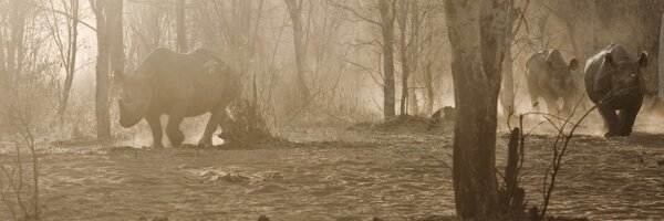 DamienMander Profile Banner