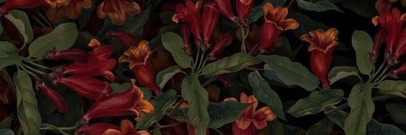 nabiladuladi's profile banner image
