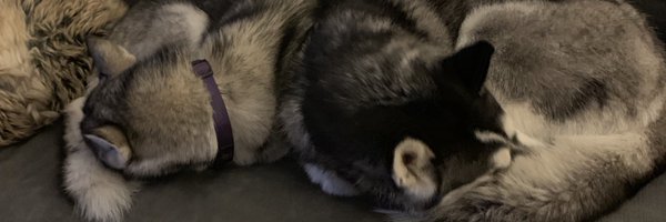 m_creech Profile Banner