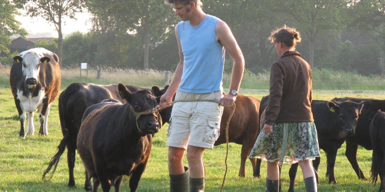 Boerhoes's profile banner image