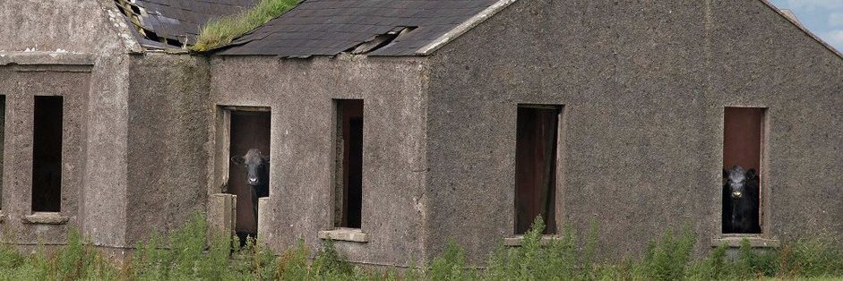 Barry O'Brien banner