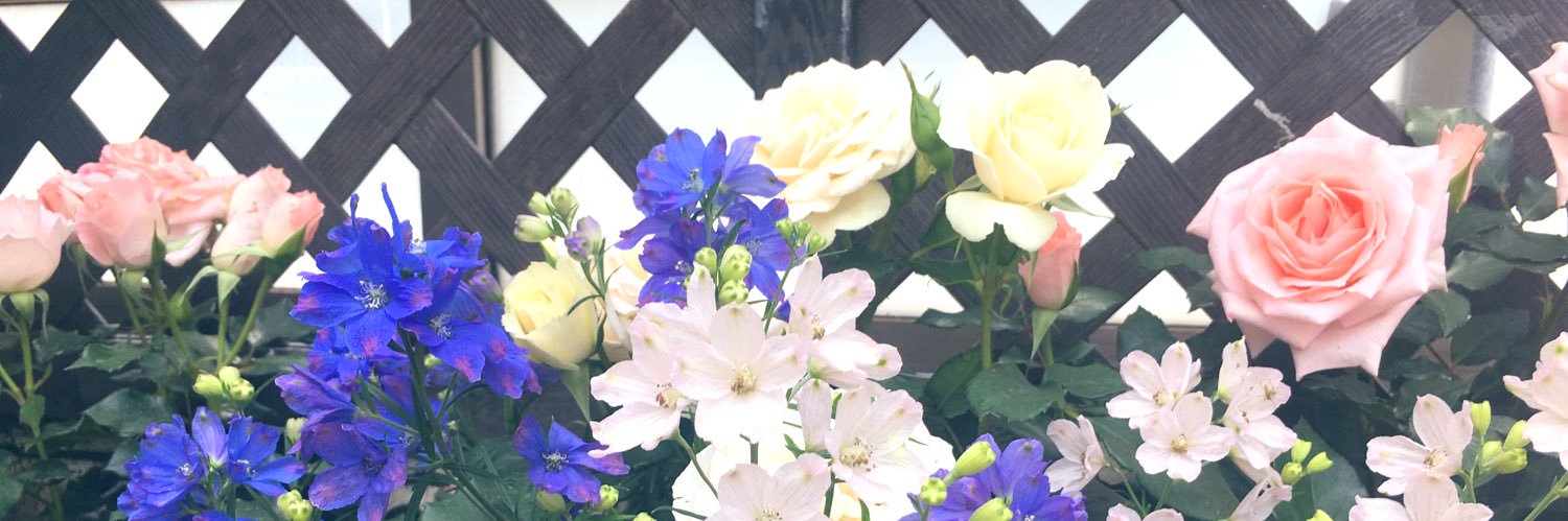 rb_blue's profile banner image