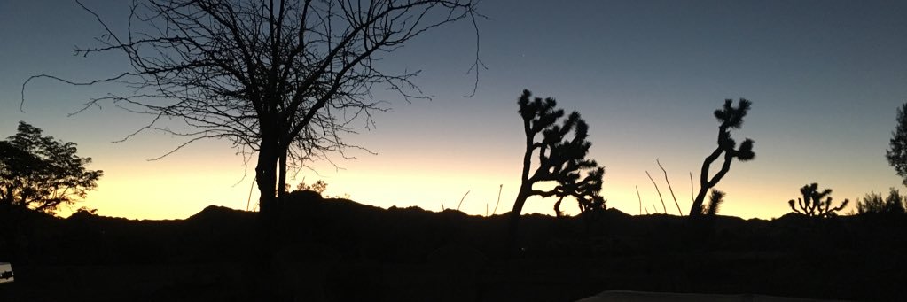 Dr. Annemieke Kavelaars banner