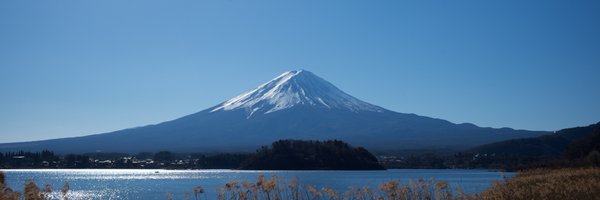 ealden Profile Banner