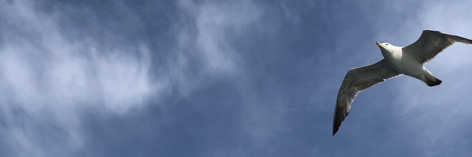 Al3thbaF's profile banner image