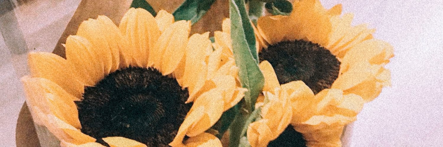 ohmppiangggg's profile banner image